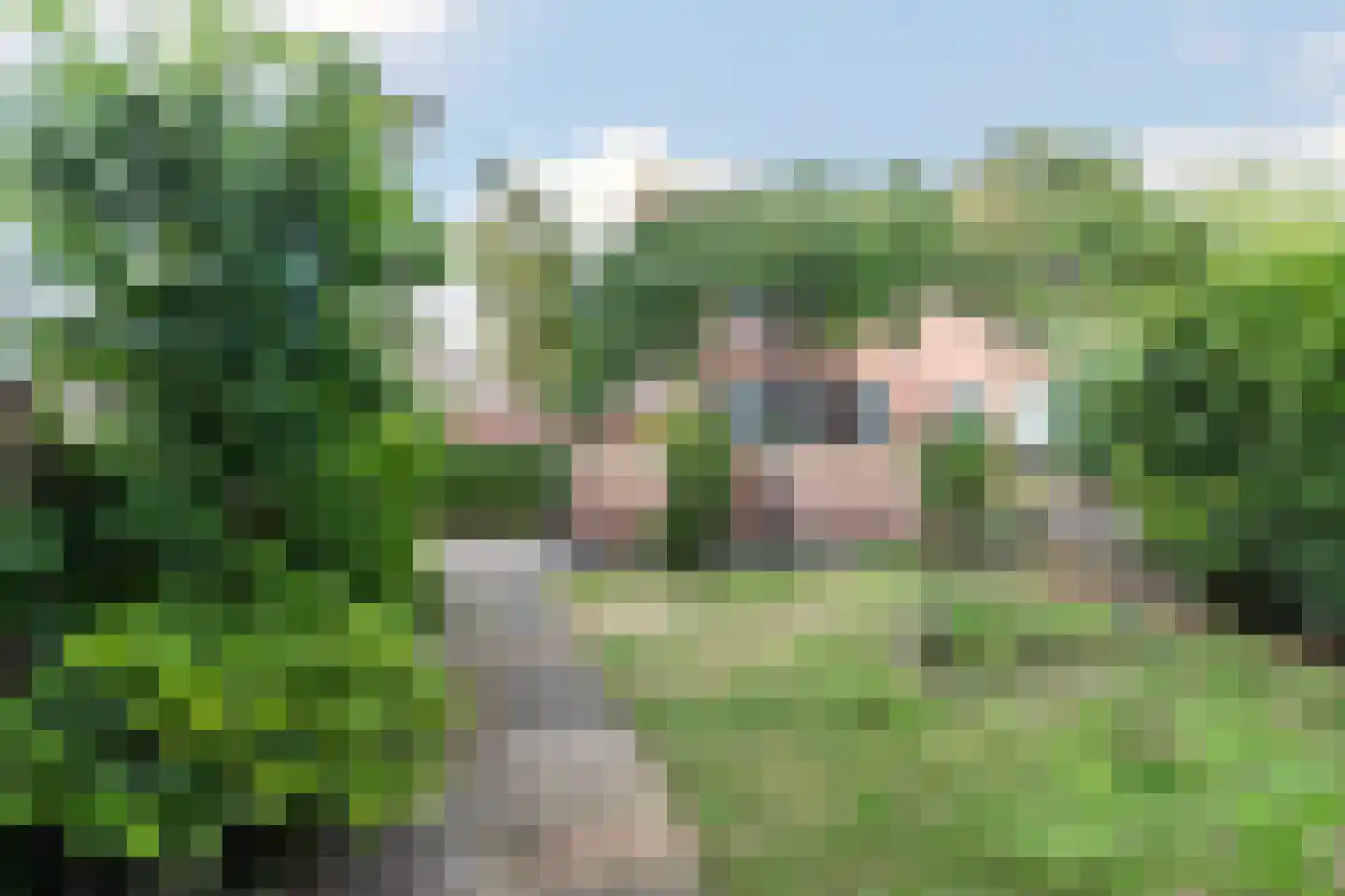 Zoutmanstraat 25 Maasdijk thumbnail 47
