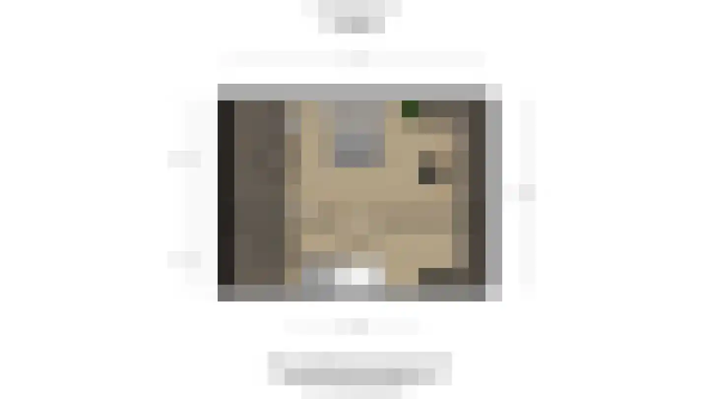 Zoutmanstraat 25 Maasdijk thumbnail 51