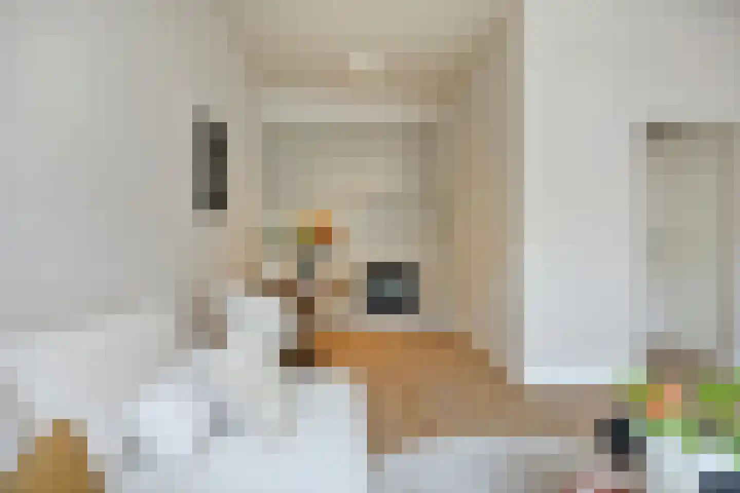 Zoutmanstraat 33 Den Haag thumbnail 8