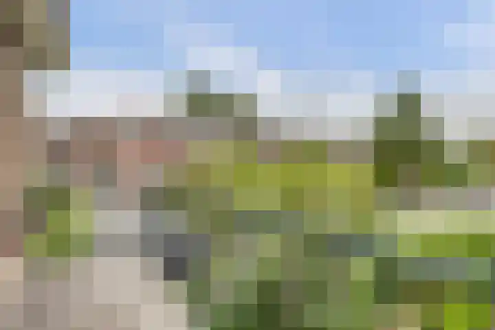 Zoutmanstraat 35 Gouda thumbnail 4