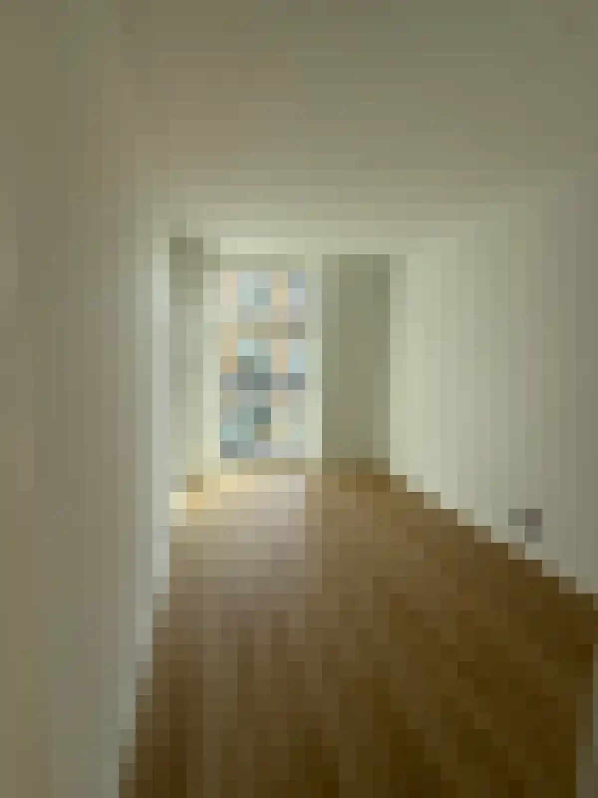 Zoutmanstraat 44 L Den Haag thumbnail 5