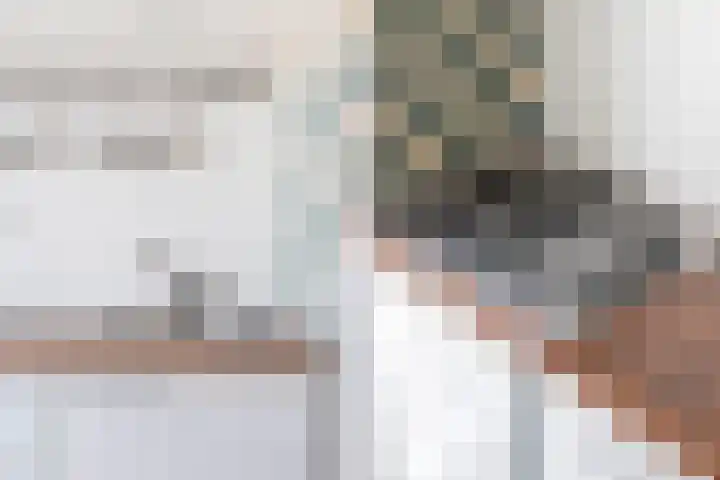 Zoutmanstraat 47 G Den Haag thumbnail 5