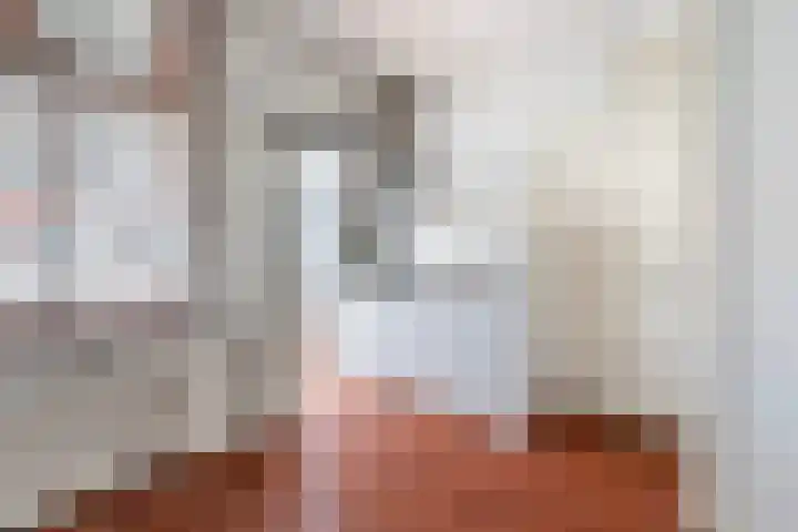 Zoutmanstraat 47 G Den Haag thumbnail 6