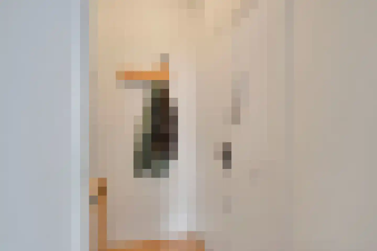 Zoutmanstraat 48 N Den Haag thumbnail 18