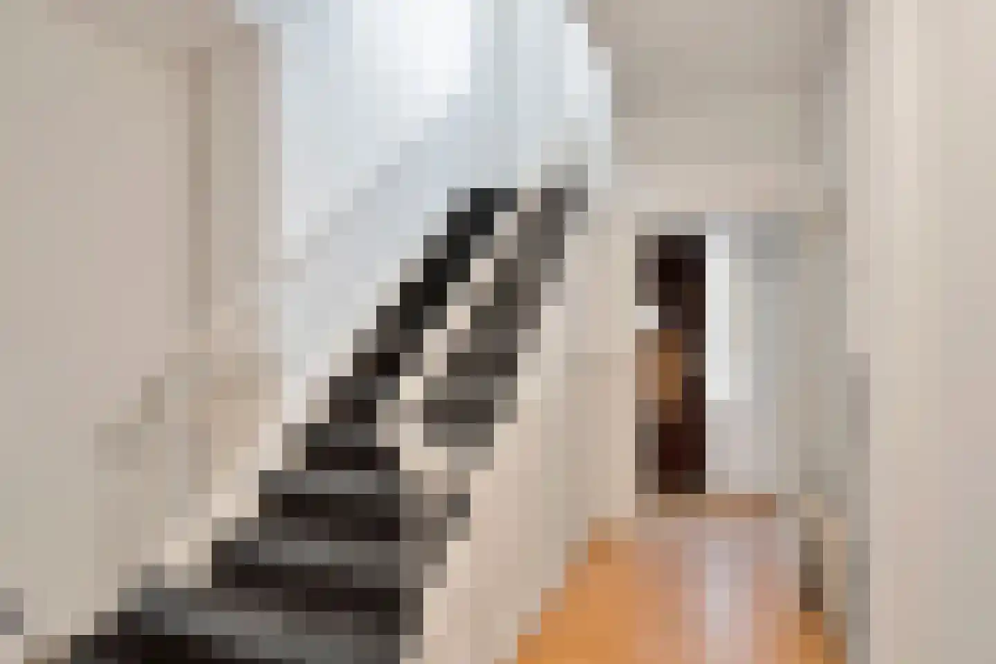 Zoutmanstraat 48 N Den Haag thumbnail 19