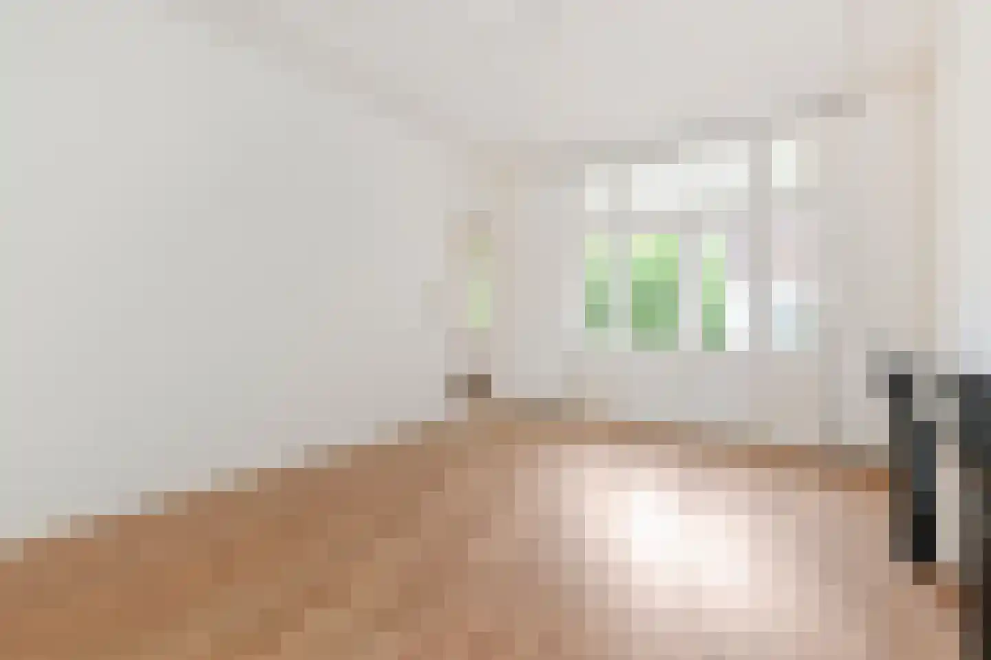 Zoutmanstraat 49 A 1 Den Haag thumbnail 22