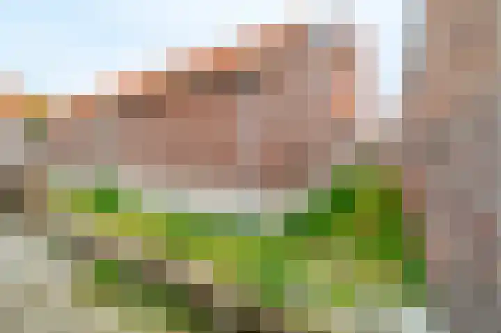 Zoutmanstraat 6 Noordwijk thumbnail 33