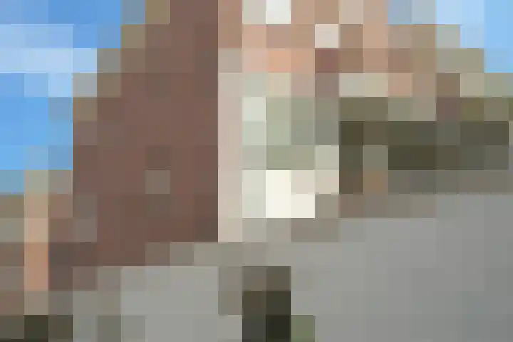 Zoutmanstraat 63 C Den Haag thumbnail 5