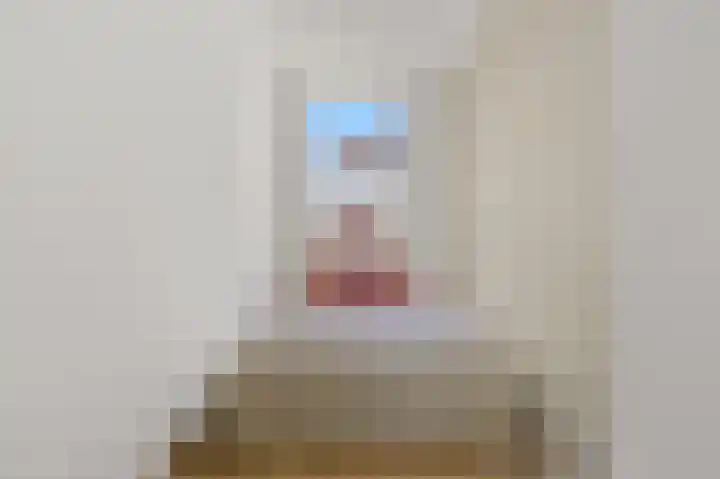 Zoutmanstraat 66 A Den Haag thumbnail 16