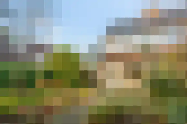 Zoutmanstraat 9 Ede thumbnail 30