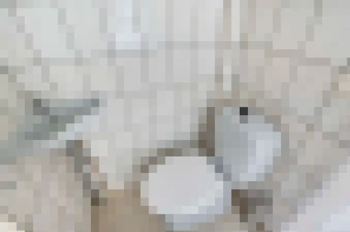 Zoutmansweg 100 Reeuwijk thumbnail 8