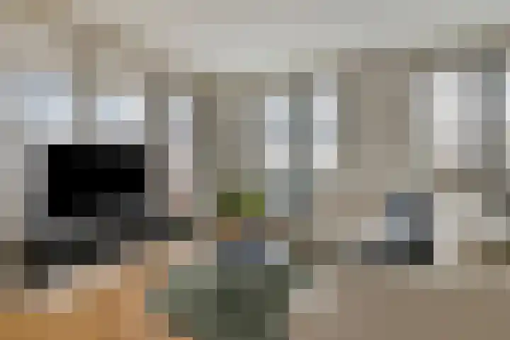 Zoutmansweg 18 g Reeuwijk thumbnail 20