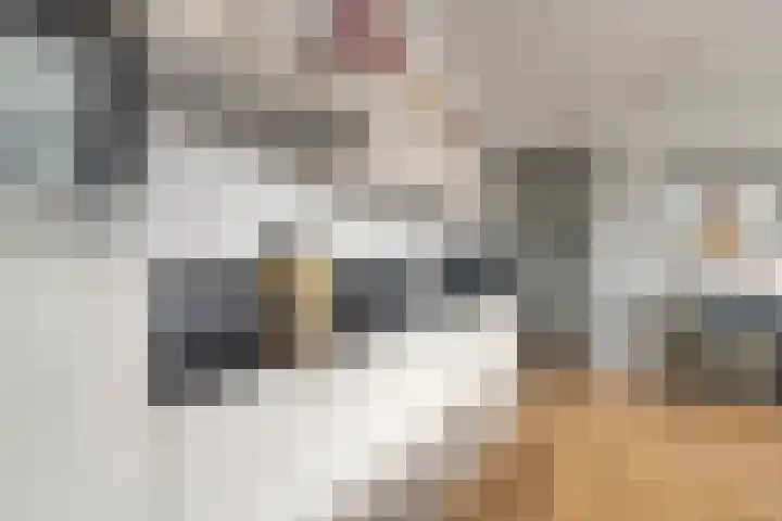 Zoutmansweg 18 g Reeuwijk thumbnail 24