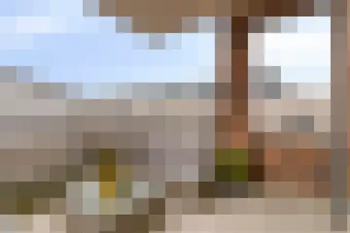 Zoutmansweg 18 g Reeuwijk thumbnail 30