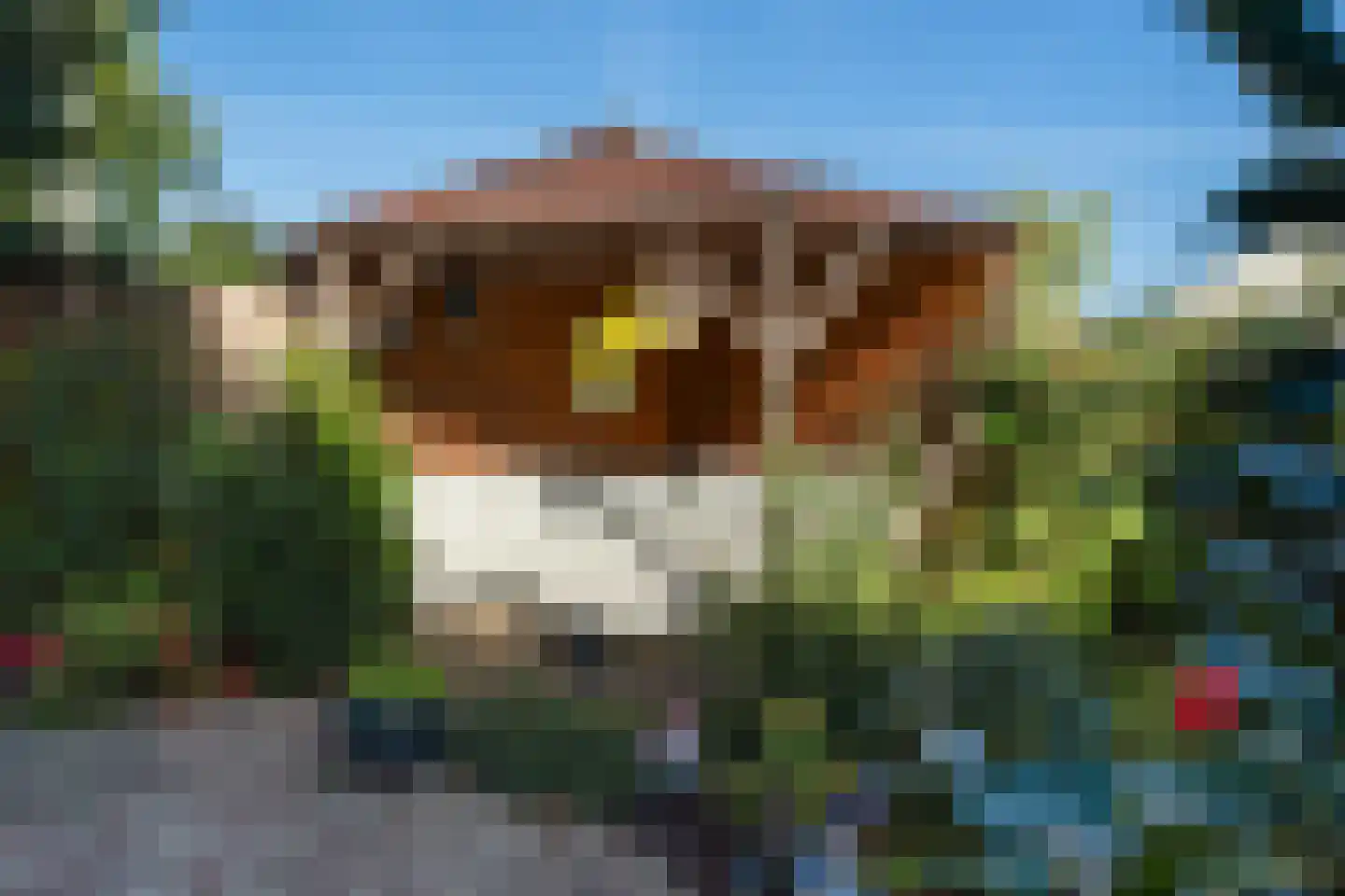 Zoutmansweg 2 Reeuwijk thumbnail 29