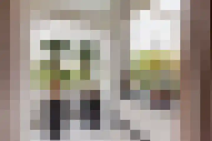 Zoutmansweg 24 a Reeuwijk thumbnail 19