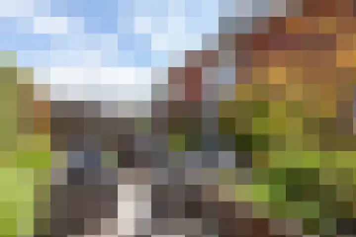 Zoutmansweg 24 a Reeuwijk thumbnail 49
