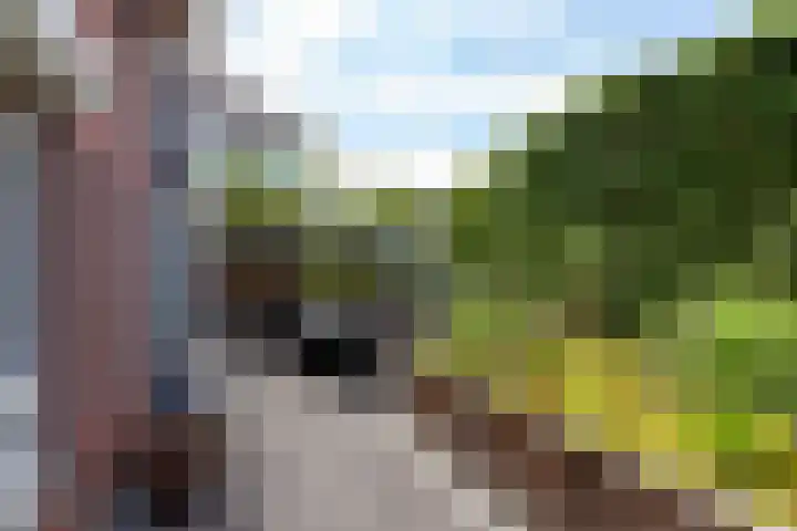 Zoutmansweg 24 a Reeuwijk thumbnail 53