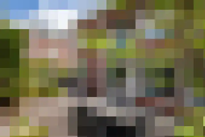 Zoutmansweg 24 a Reeuwijk thumbnail 55