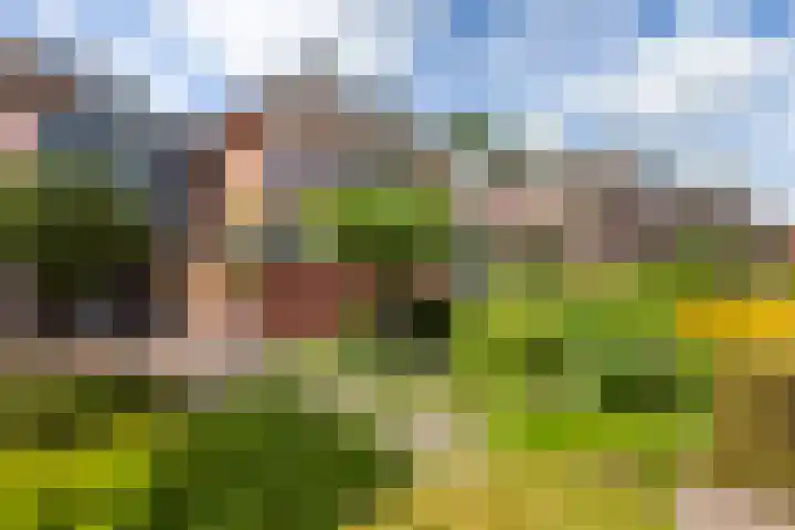 Zoutmansweg 24 a Reeuwijk thumbnail 57