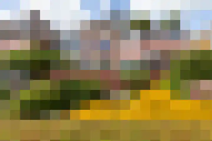 Zoutmansweg 24 a Reeuwijk thumbnail 7