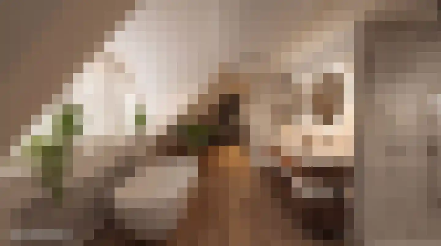 Zoutmansweg 24 e Reeuwijk thumbnail 31