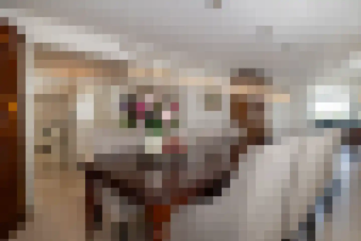 Zoutmansweg 24 e Reeuwijk thumbnail 33