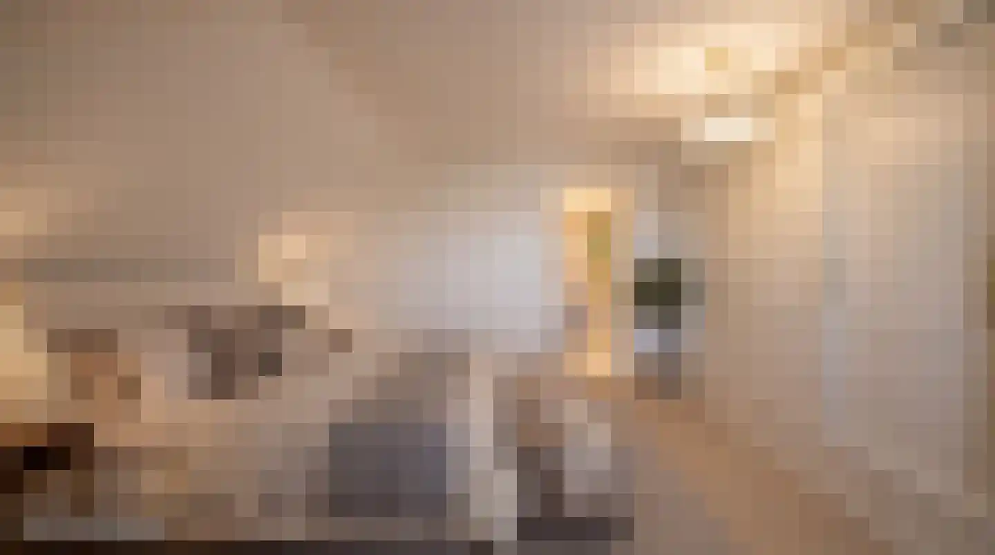 Zoutmansweg 24 e Reeuwijk thumbnail 35