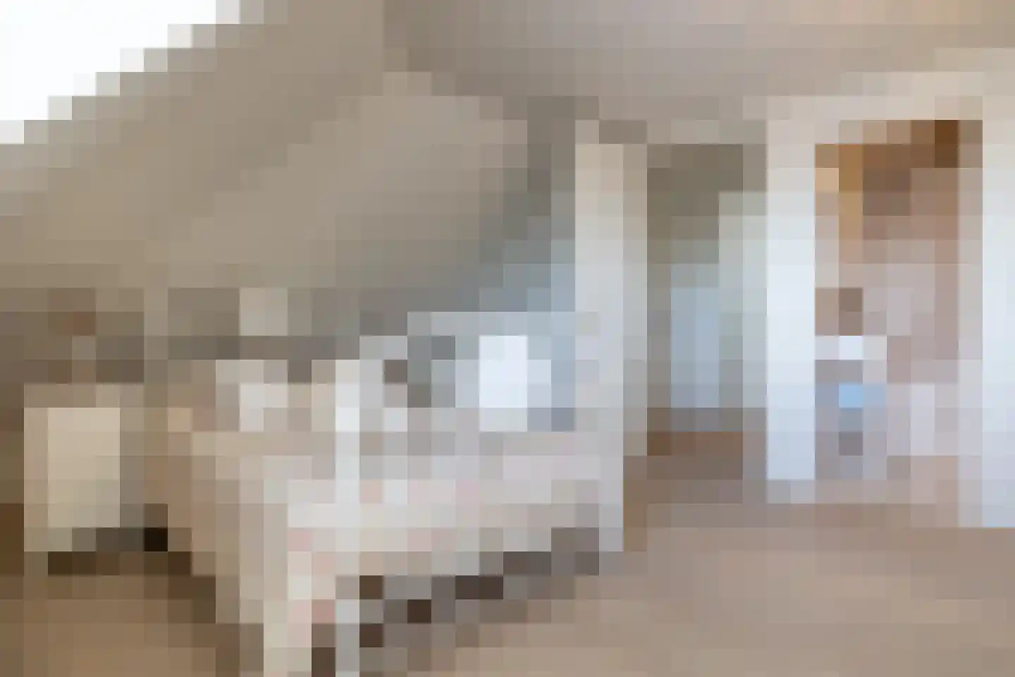 Zoutmansweg 24 e Reeuwijk thumbnail 54