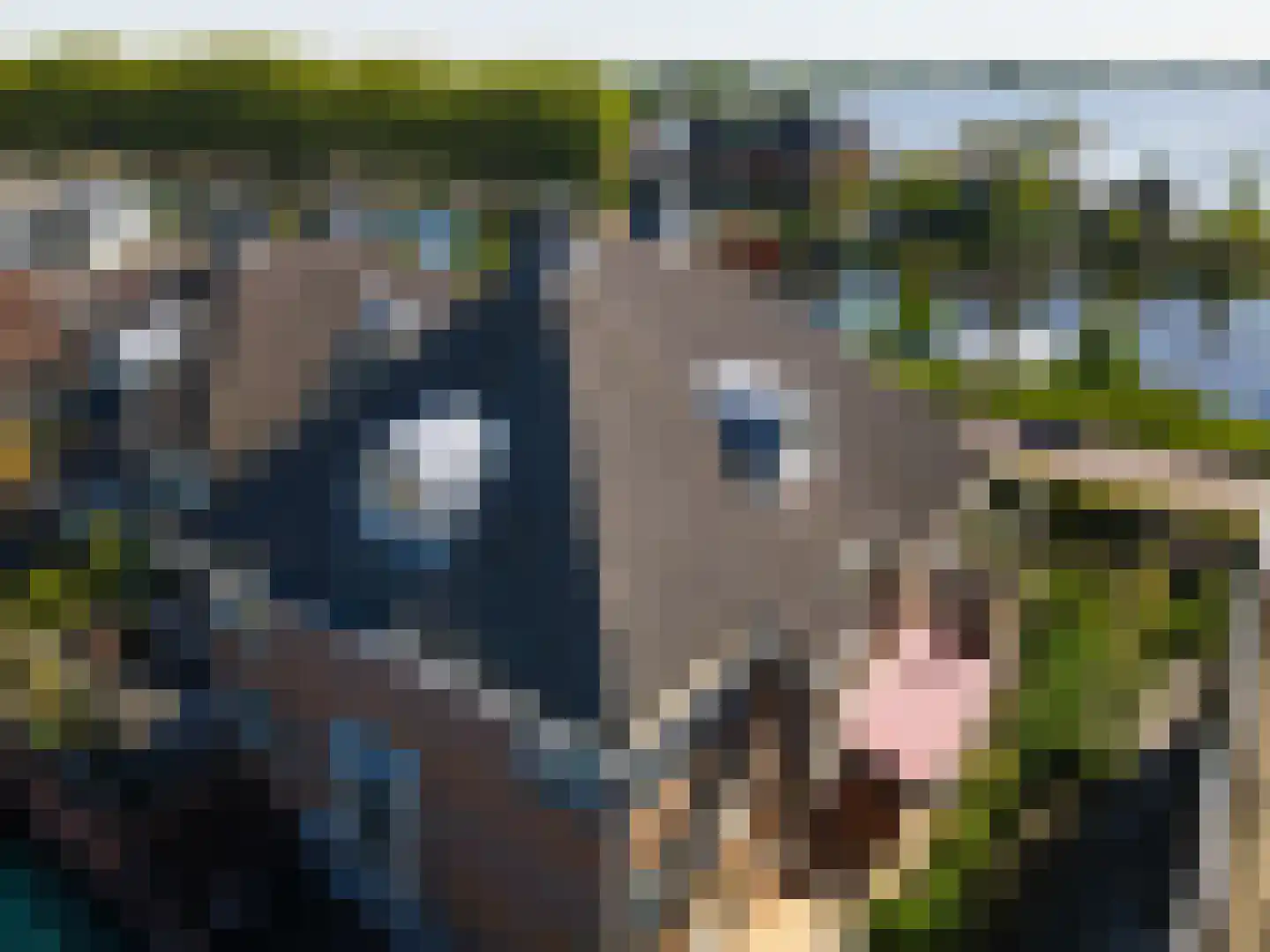 Zoutmansweg 24 e Reeuwijk thumbnail 62
