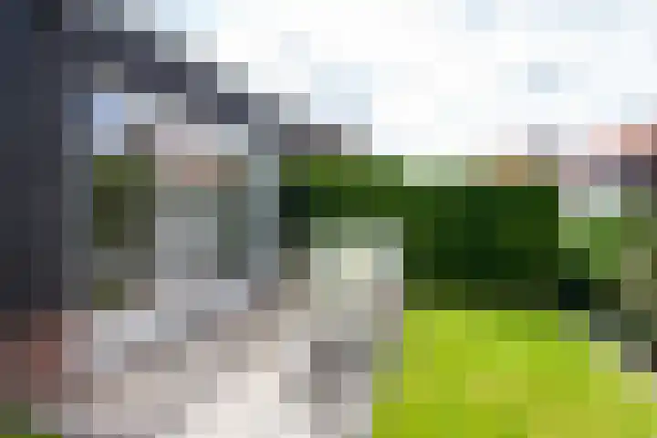 Zoutmansweg 62 Reeuwijk thumbnail 33