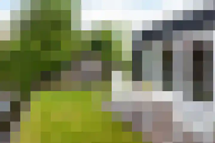 Zoutmansweg 62 Reeuwijk thumbnail 34