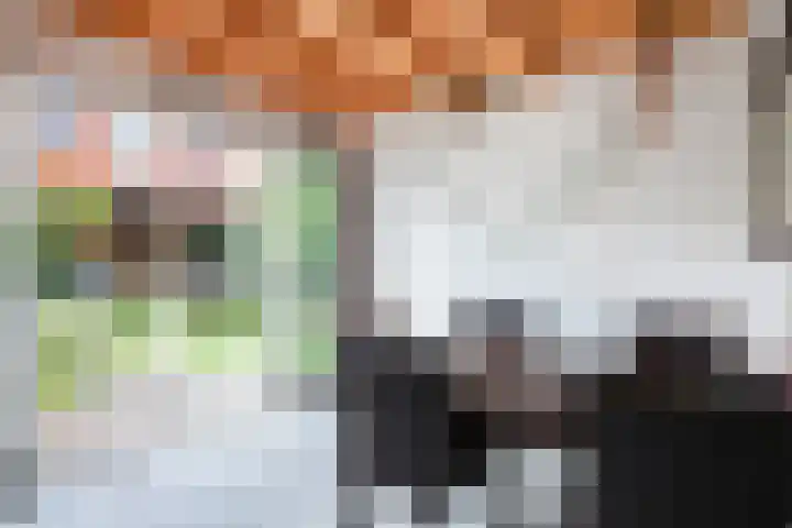 Zoutmansweg 62 Reeuwijk thumbnail 38