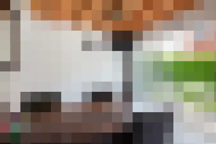 Zoutmansweg 62 Reeuwijk thumbnail 39