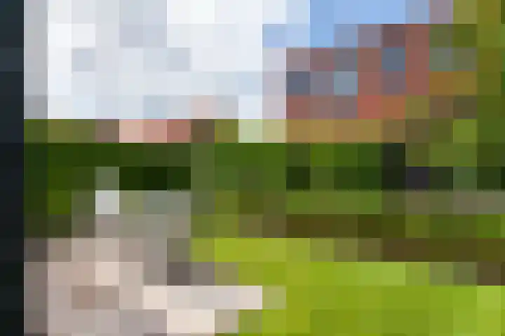 Zoutmansweg 62 Reeuwijk thumbnail 41