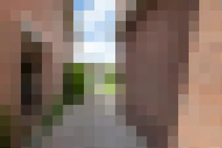 Zoutmansweg 62 Reeuwijk thumbnail 44