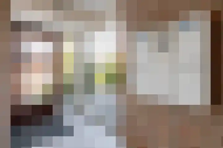 Zoutmansweg 64 b Reeuwijk thumbnail 11