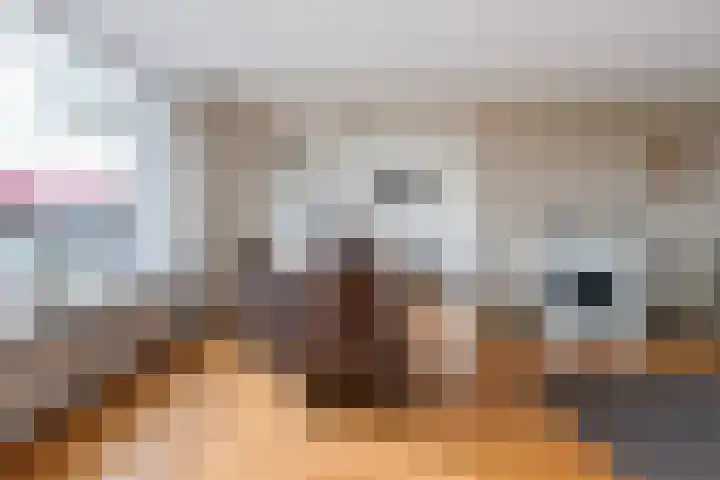 Zoutmansweg 64 b Reeuwijk thumbnail 21