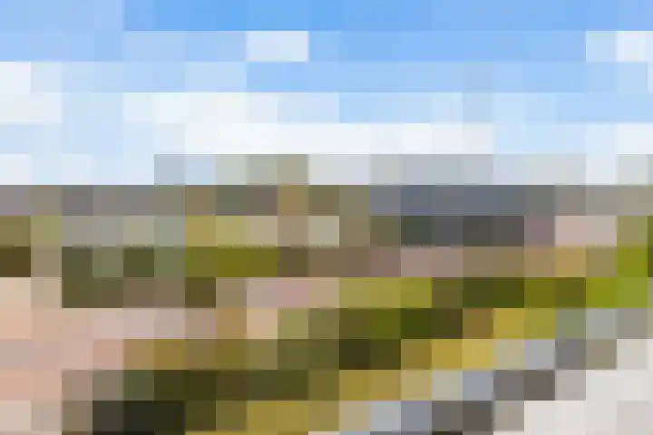 Zoutmansweg 64 b Reeuwijk thumbnail 26