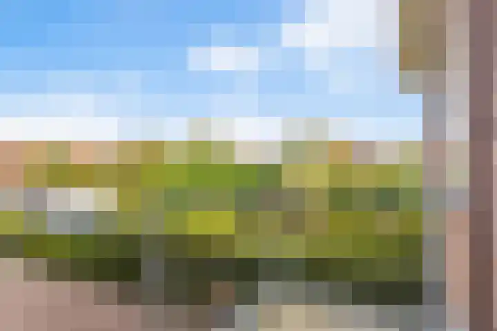 Zoutmansweg 64 b Reeuwijk thumbnail 40