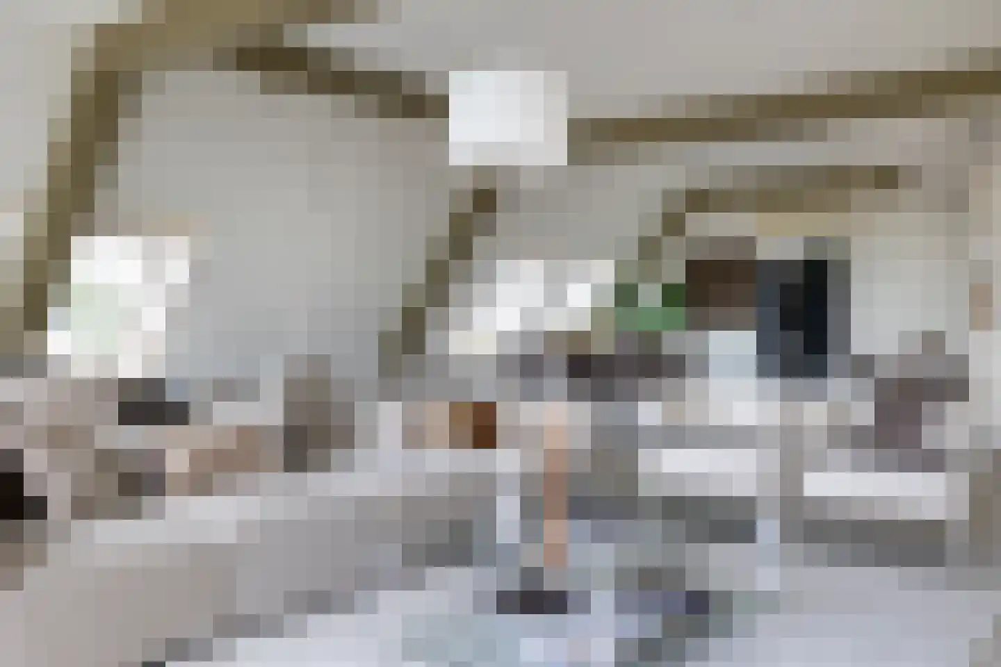 Zoutmansweg 64 d Reeuwijk thumbnail 32
