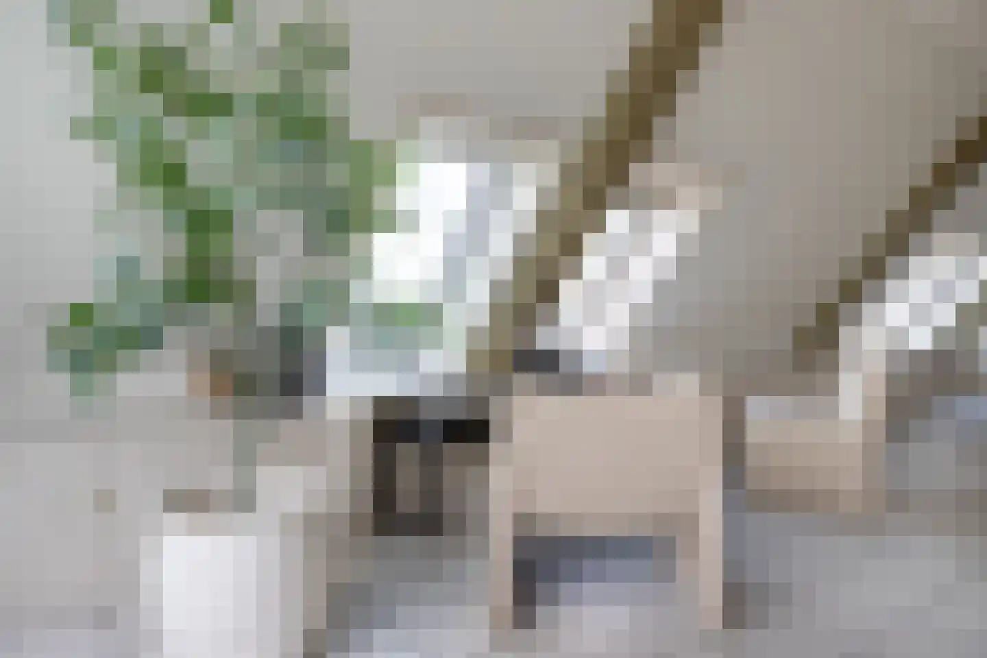 Zoutmansweg 64 d Reeuwijk thumbnail 33