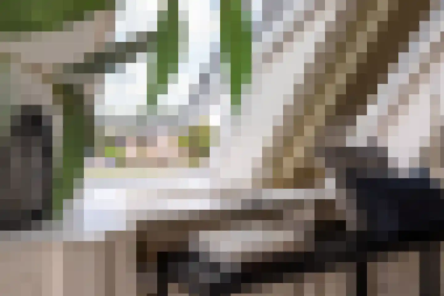 Zoutmansweg 64 d Reeuwijk thumbnail 34