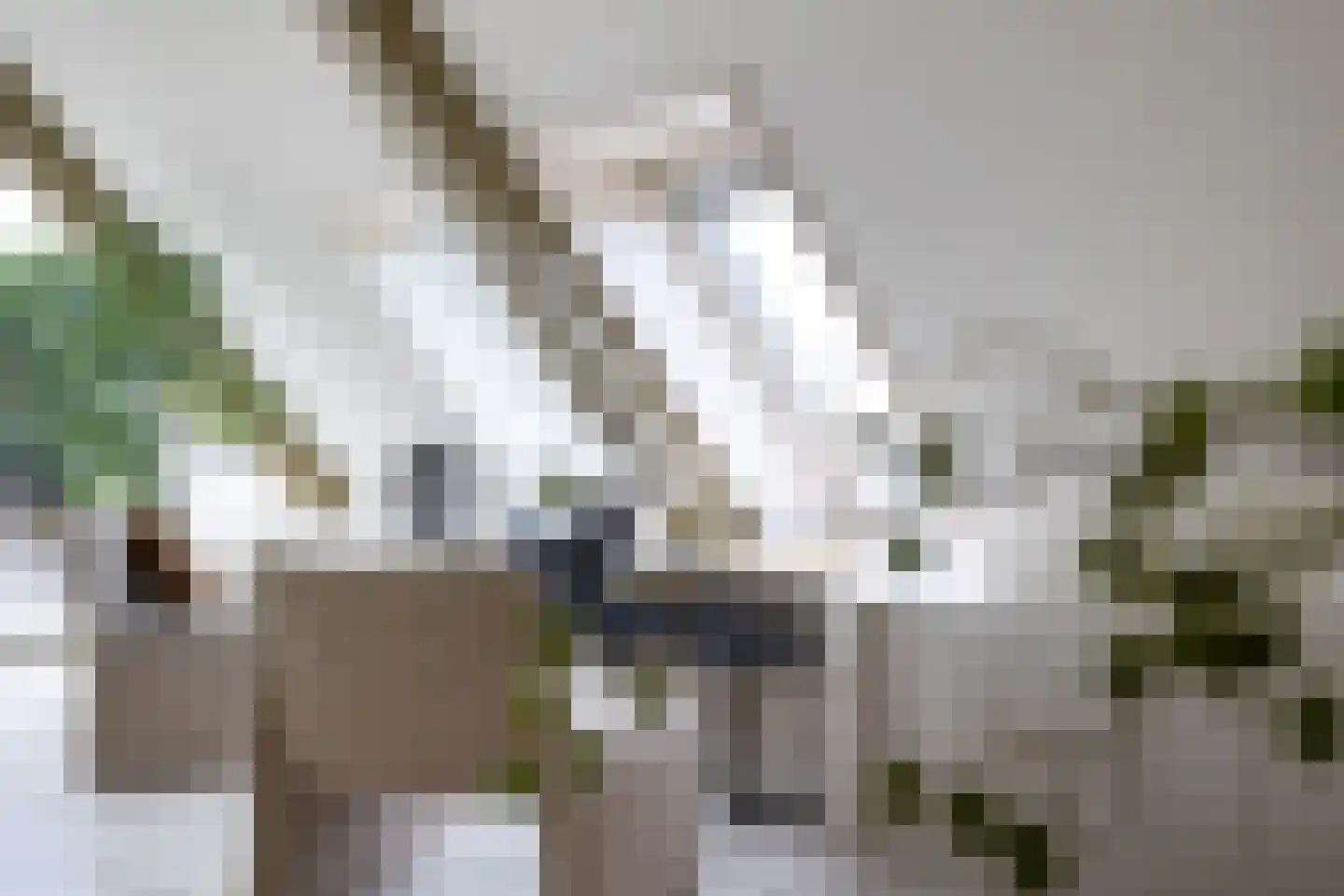 Zoutmansweg 64 d Reeuwijk thumbnail 35