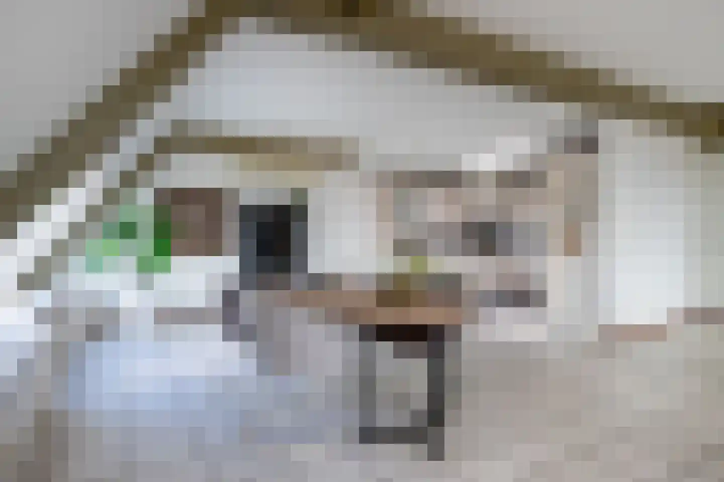 Zoutmansweg 64 d Reeuwijk thumbnail 38
