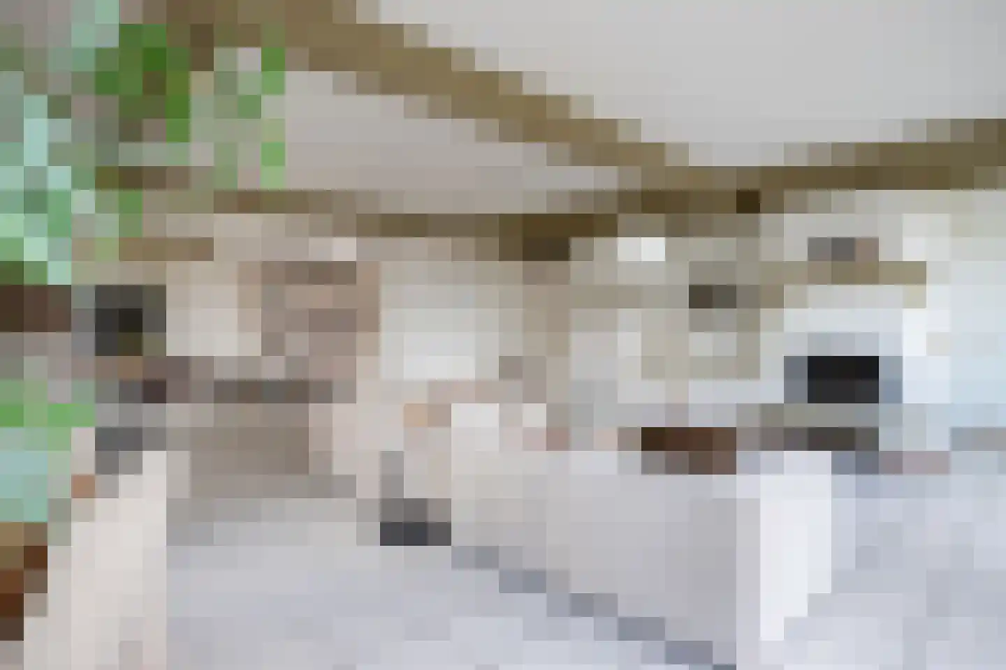 Zoutmansweg 64 d Reeuwijk thumbnail 4