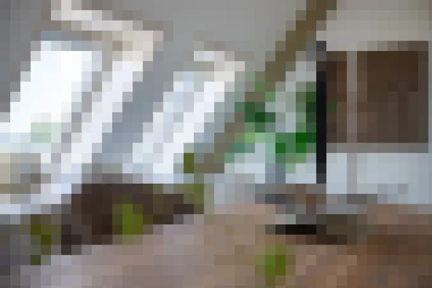 Zoutmansweg 64 d Reeuwijk thumbnail 40