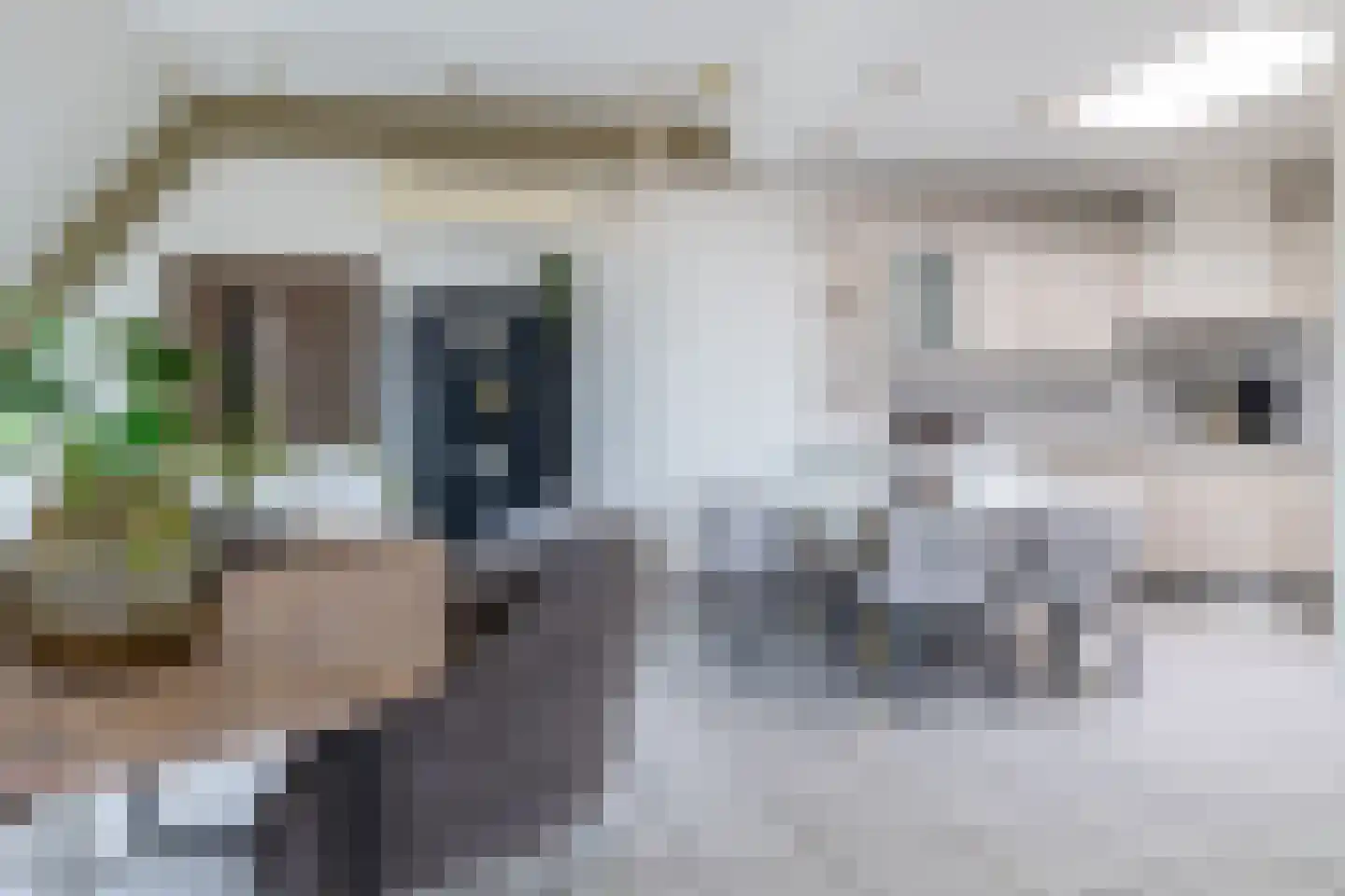 Zoutmansweg 64 d Reeuwijk thumbnail 41
