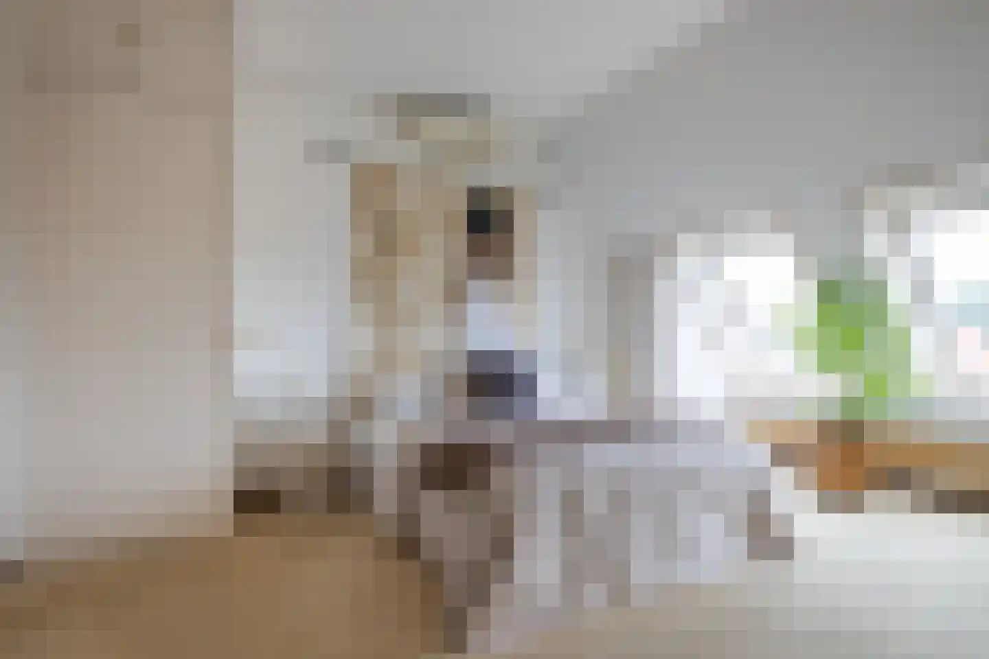 Zoutmansweg 64 d Reeuwijk thumbnail 5