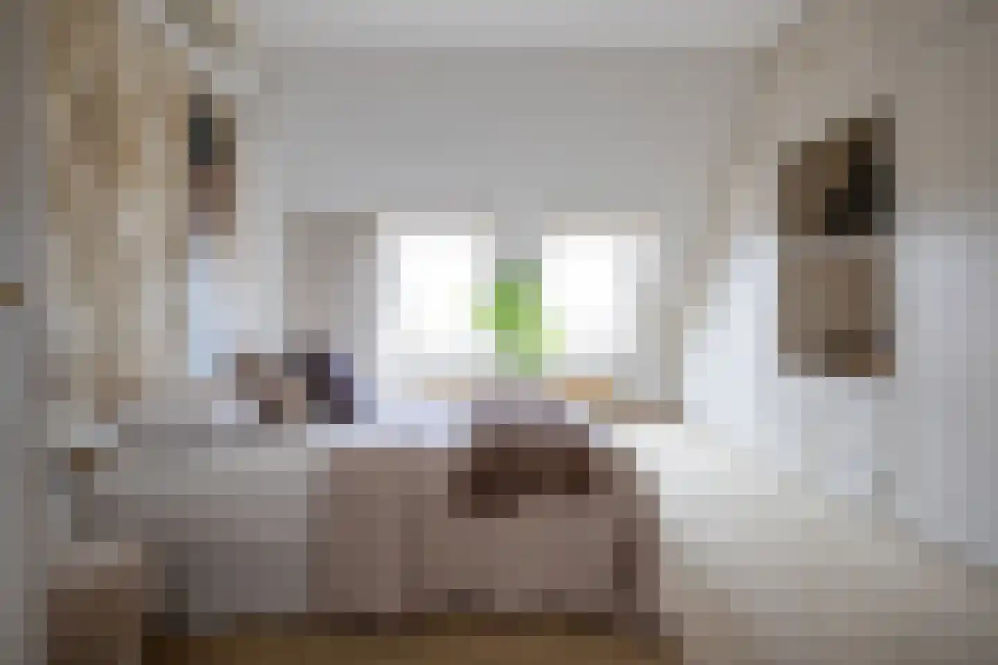 Zoutmansweg 64 d Reeuwijk thumbnail 53